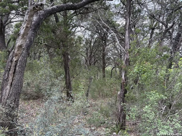 460 County Road 2753 Mico, TX 78056