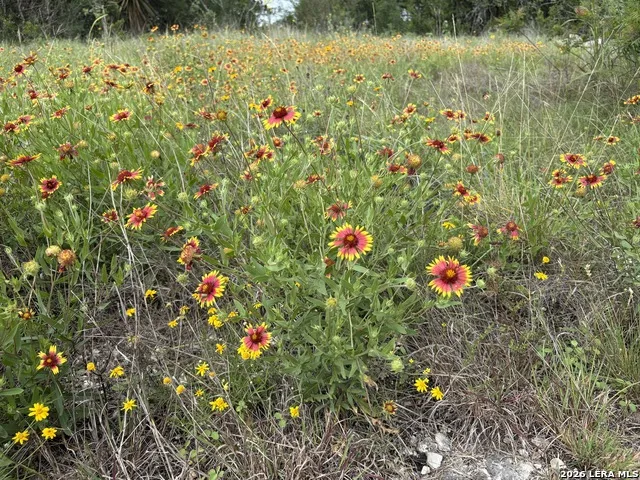 460 County Road 2753 Mico, TX 78056