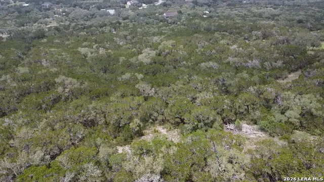 460 County Road 2753 Mico, TX 78056