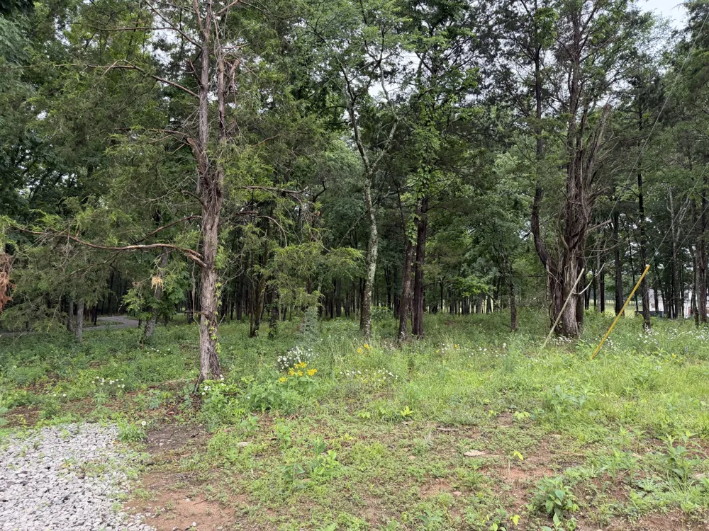 2827 Unionville Rd Chapel Hill, TN 37034