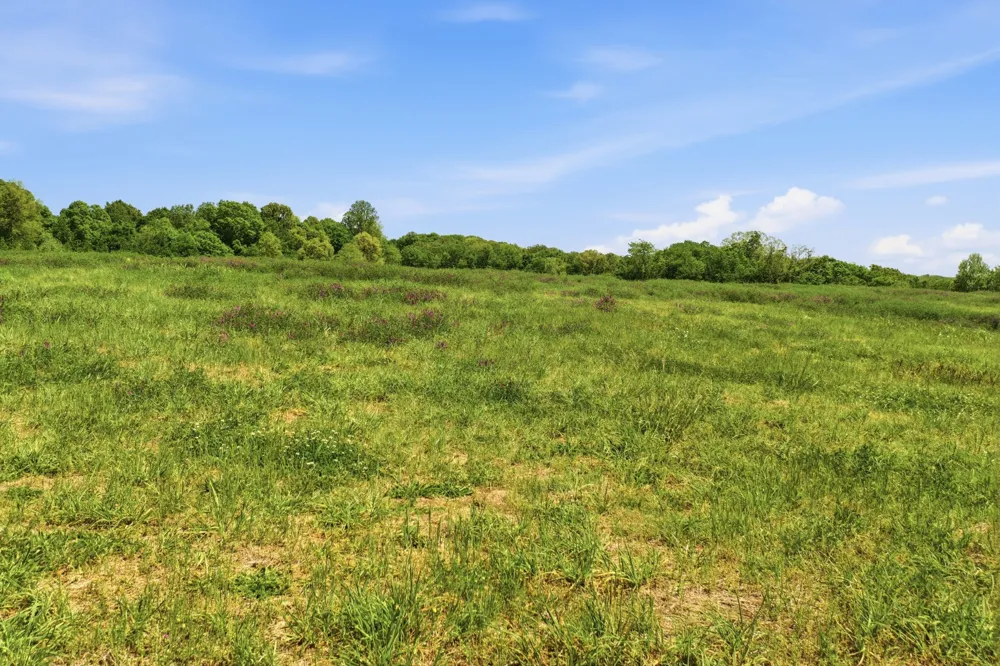 5 Gratton Road Clarksville, TN 37043
