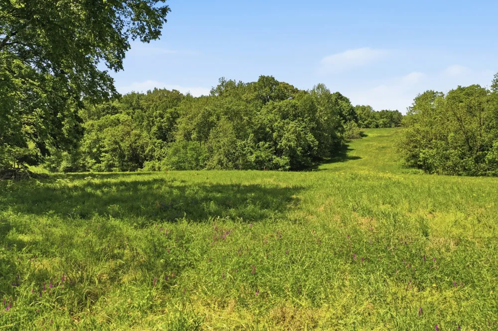 5 Gratton Road Clarksville, TN 37043