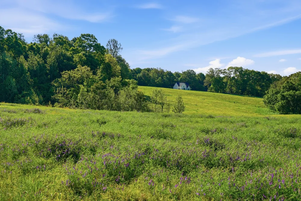 5 Gratton Road Clarksville, TN 37043