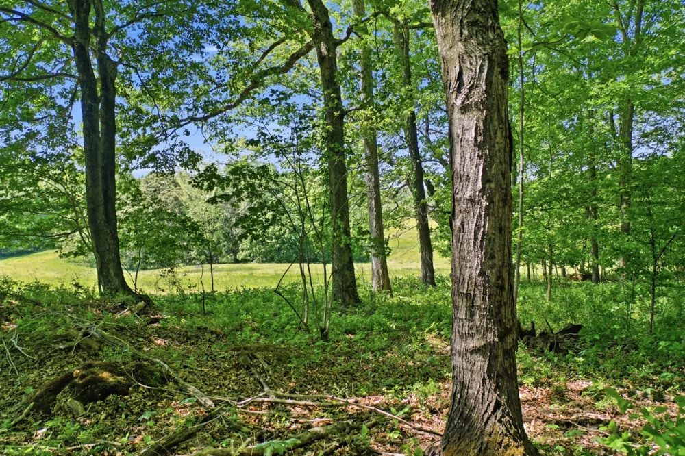 5 Gratton Road Clarksville, TN 37043