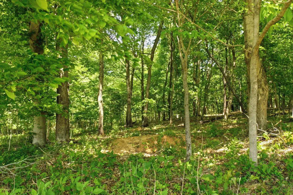 5 Gratton Road Clarksville, TN 37043
