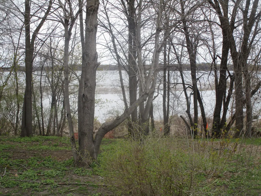 15684 County Road 102 NE Parkers Prairie, MN 56361