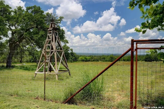 316 GO AWAY RD Blanco, TX 78606