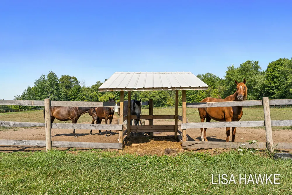 10365 Cleveland Street Crockery Township, MI 49448