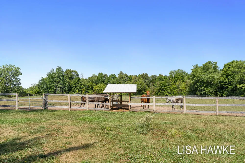 10365 Cleveland Street Crockery Township, MI 49448