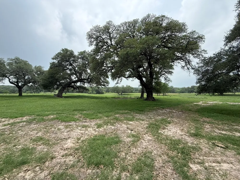 5719 Farm To Market 2238 Schulenburg, TX 78956