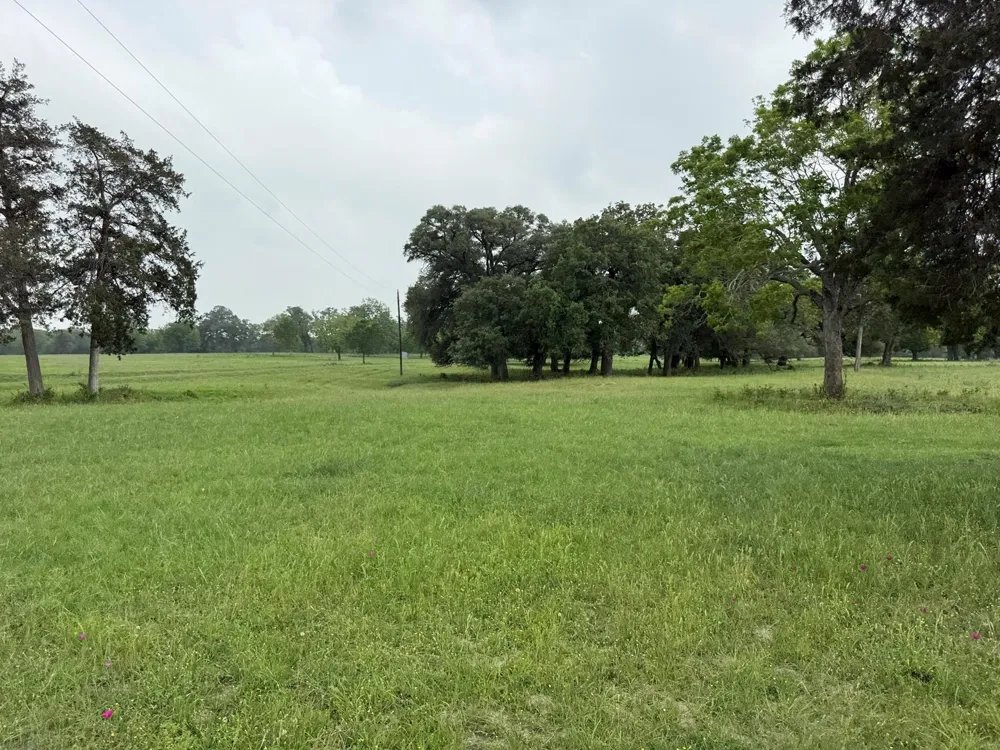 5719 Farm To Market 2238 Schulenburg, TX 78956