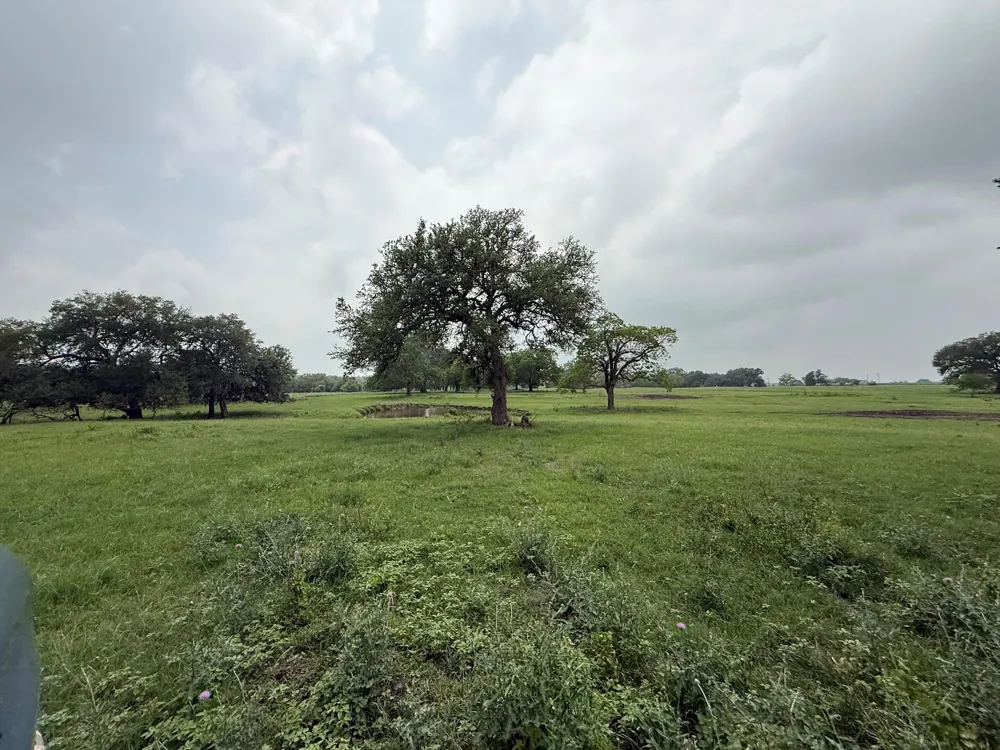 5719 Farm To Market 2238 Schulenburg, TX 78956