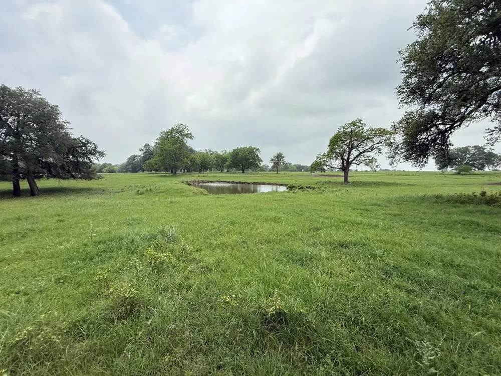 5719 Farm To Market 2238 Schulenburg, TX 78956