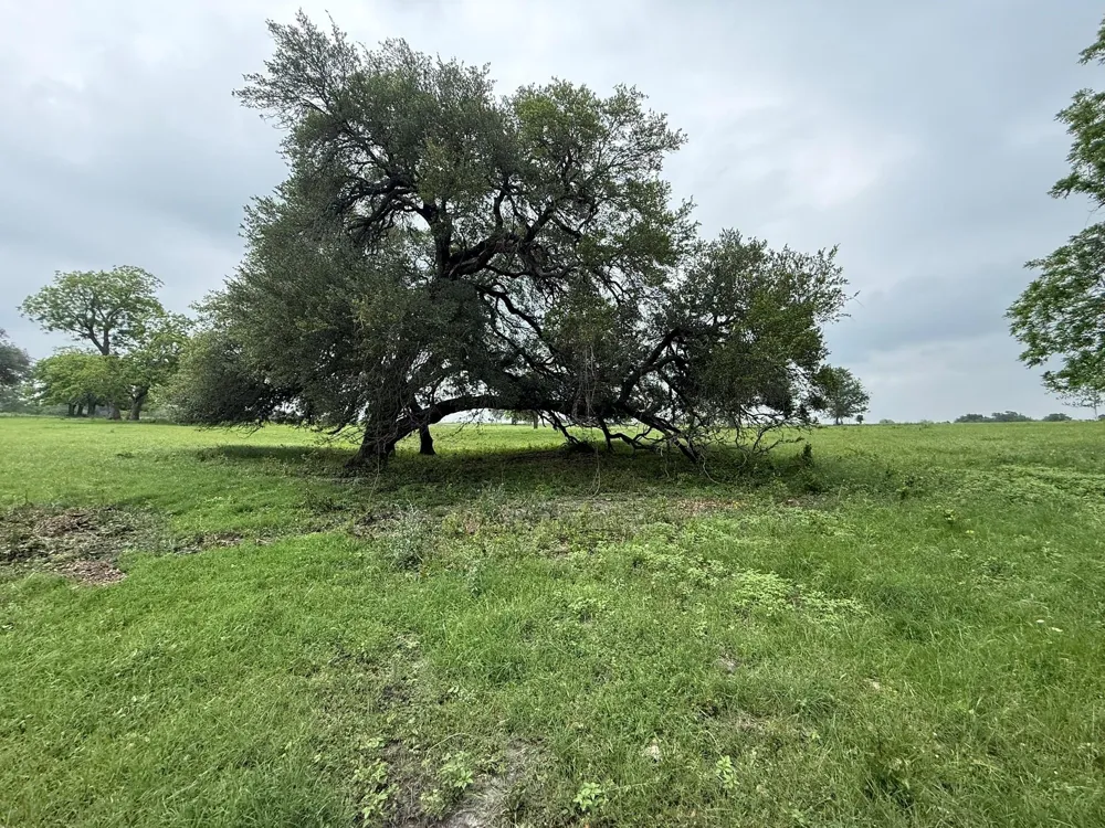 5719 Farm To Market 2238 Schulenburg, TX 78956