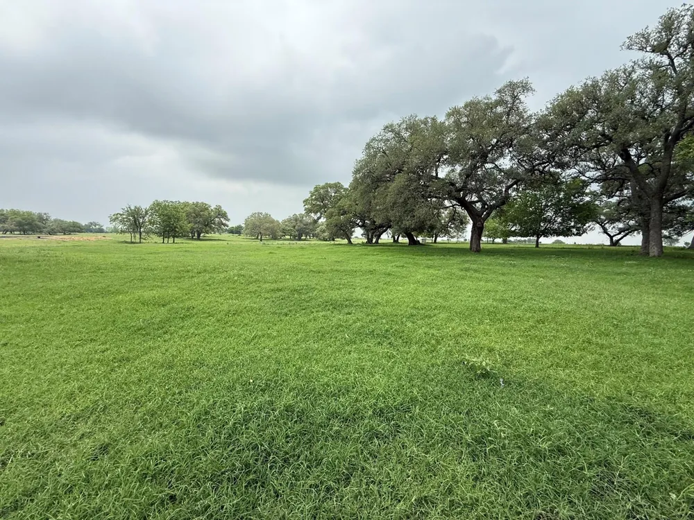 5719 Farm To Market 2238 Schulenburg, TX 78956