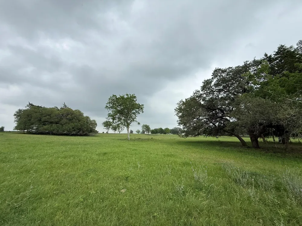 5719 Farm To Market 2238 Schulenburg, TX 78956