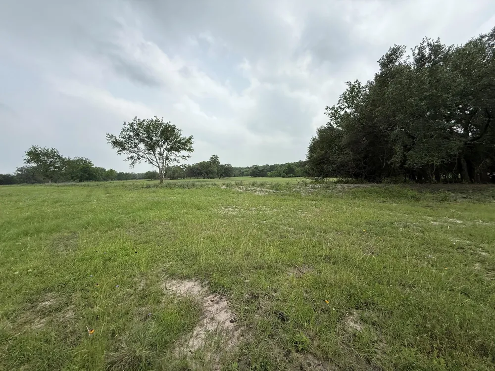5719 Farm To Market 2238 Schulenburg, TX 78956