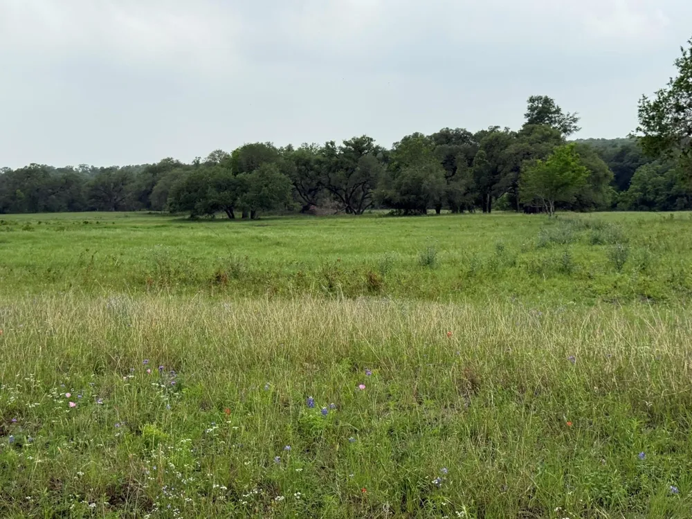5719 Farm To Market 2238 Schulenburg, TX 78956