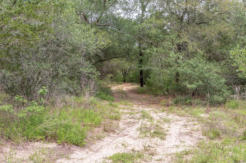 Fm 1094 New Ulm, TX 78950