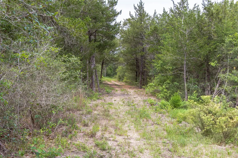 Fm 1094 New Ulm, TX 78950