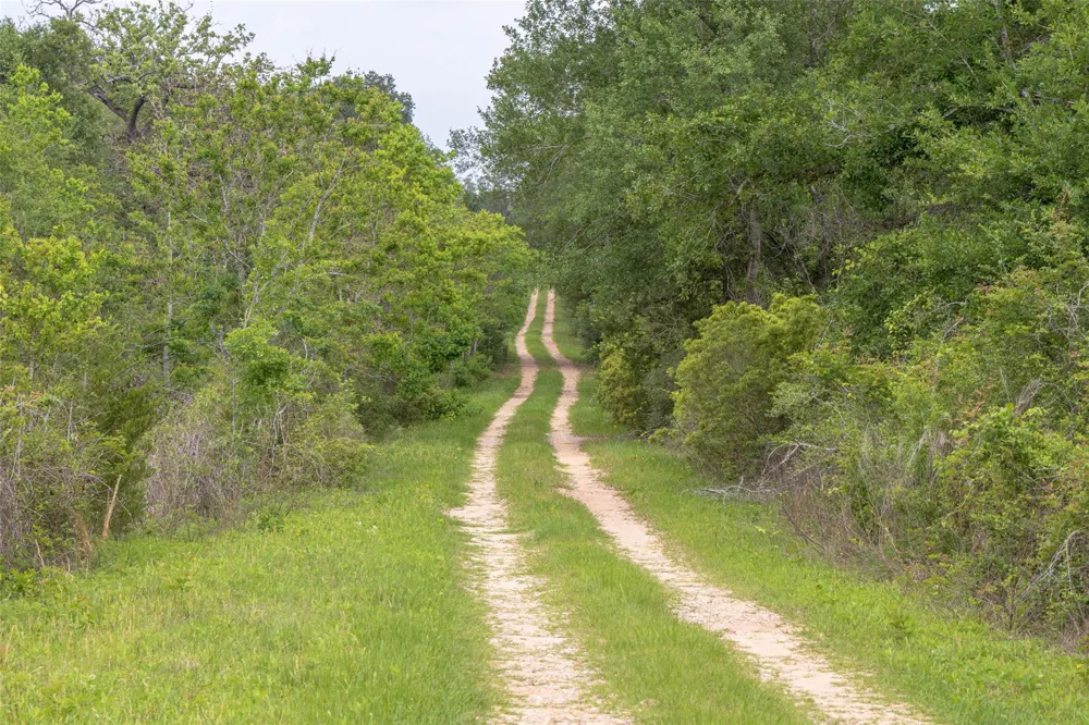 Fm 1094 New Ulm, TX 78950