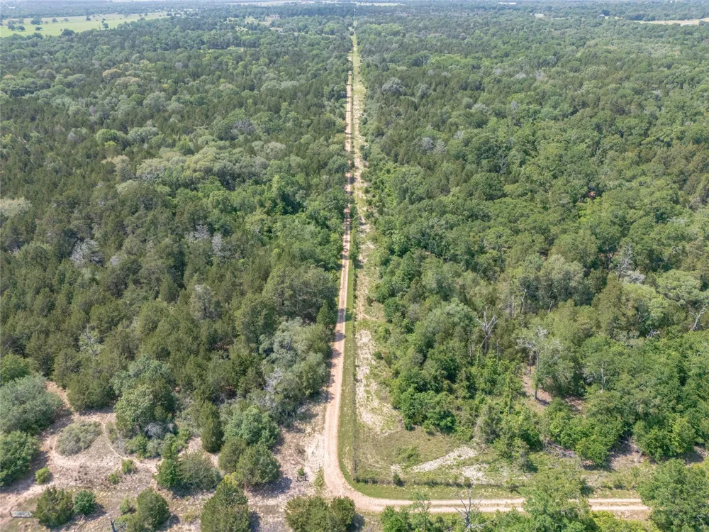 Fm 1094 New Ulm, TX 78950