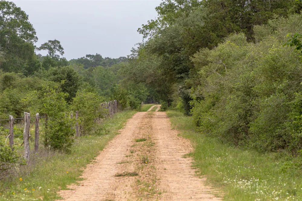 Fm 1094 New Ulm, TX 78950