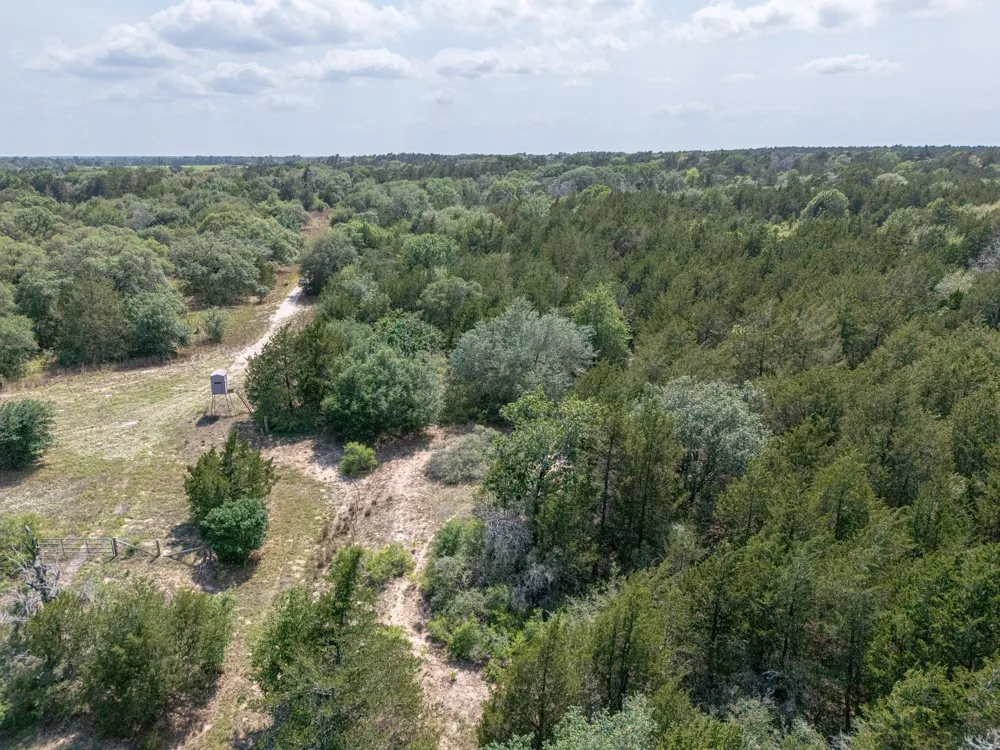 Fm 1094 New Ulm, TX 78950
