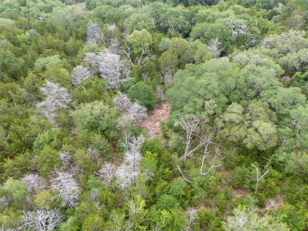 Fm 1094 New Ulm, TX 78950