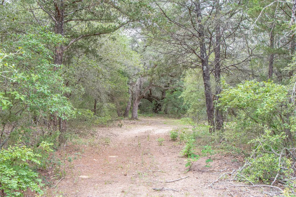 Fm 1094 New Ulm, TX 78950