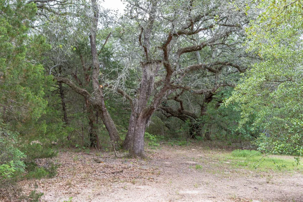 Fm 1094 New Ulm, TX 78950