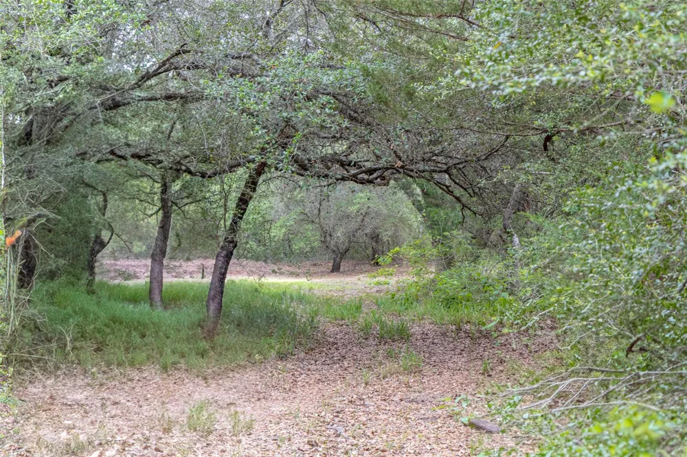 Fm 1094 New Ulm, TX 78950