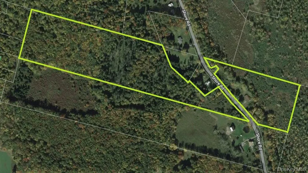 153 Shore Road White Sulphur Spring, NY 12787