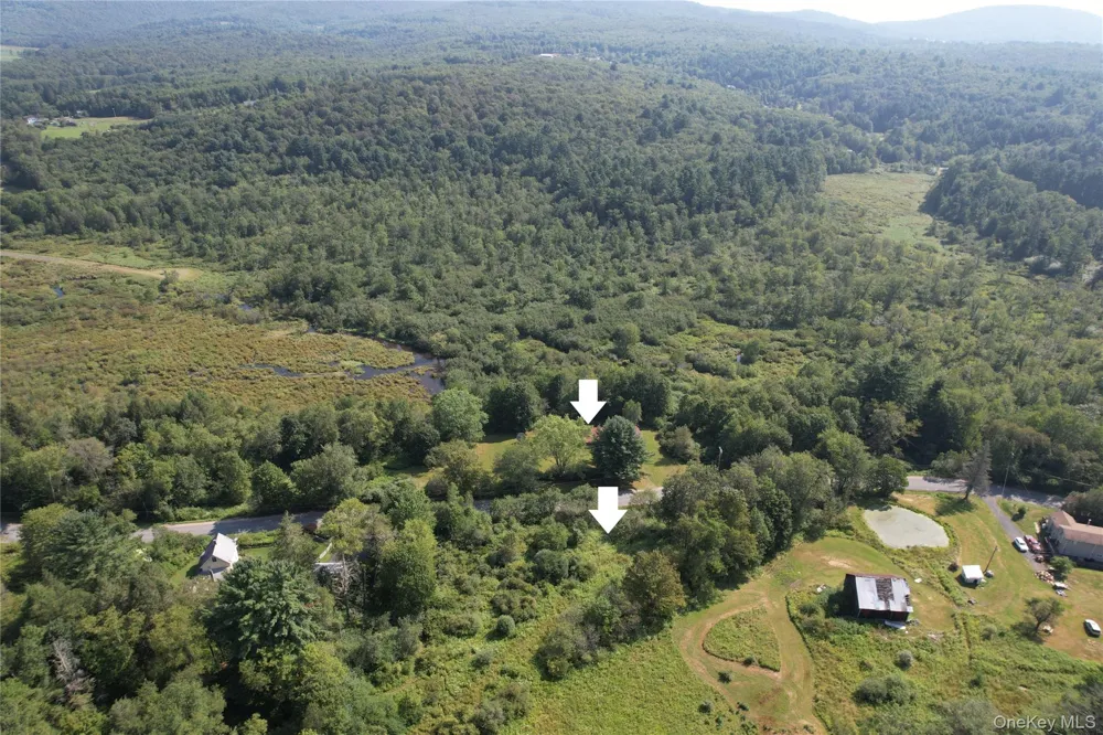 153 Shore Road White Sulphur Spring, NY 12787