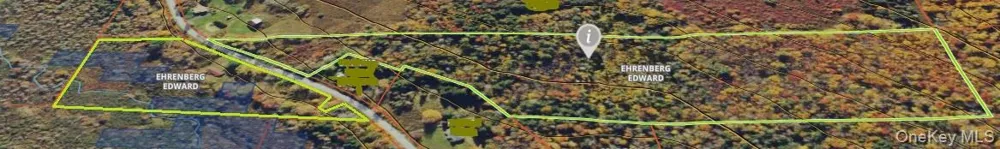 153 Shore Road White Sulphur Spring, NY 12787