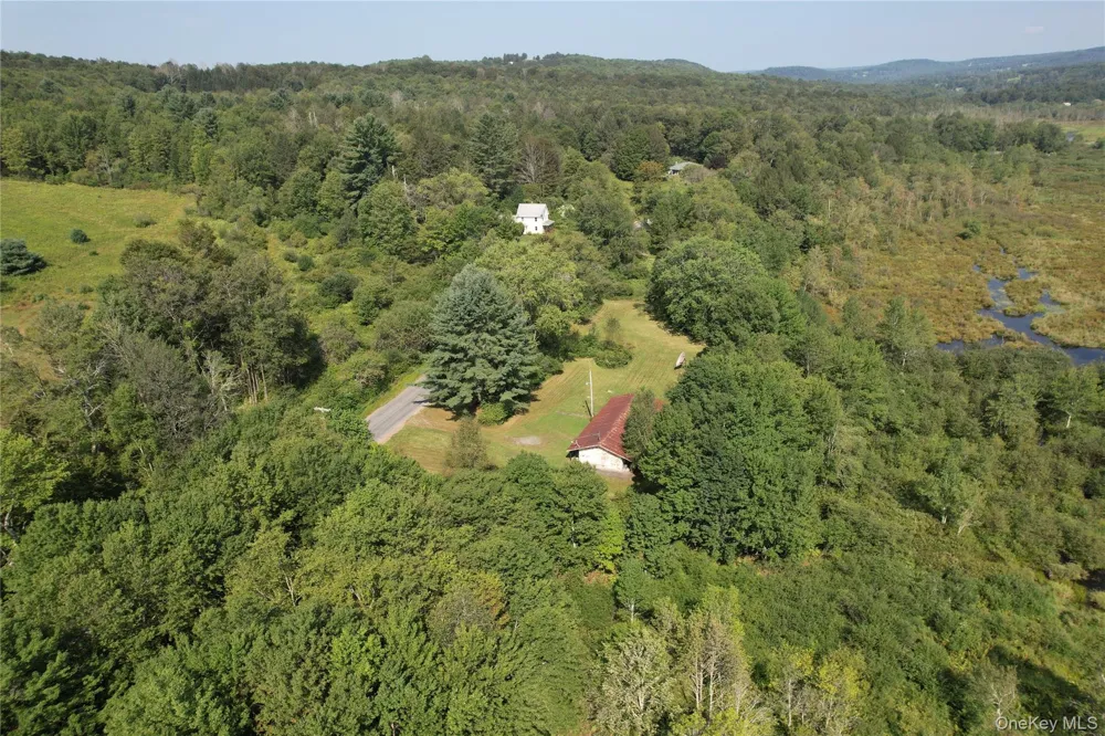 153 Shore Road White Sulphur Spring, NY 12787