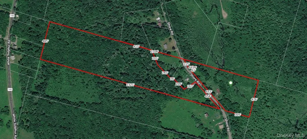 153 Shore Road White Sulphur Spring, NY 12787