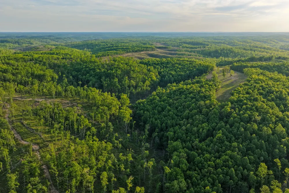 0 Firetower Rd Centerville, TN 37033