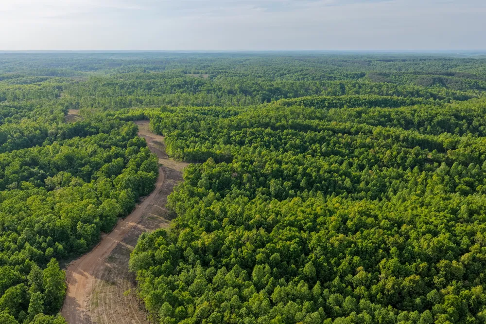 0 Firetower Rd Centerville, TN 37033