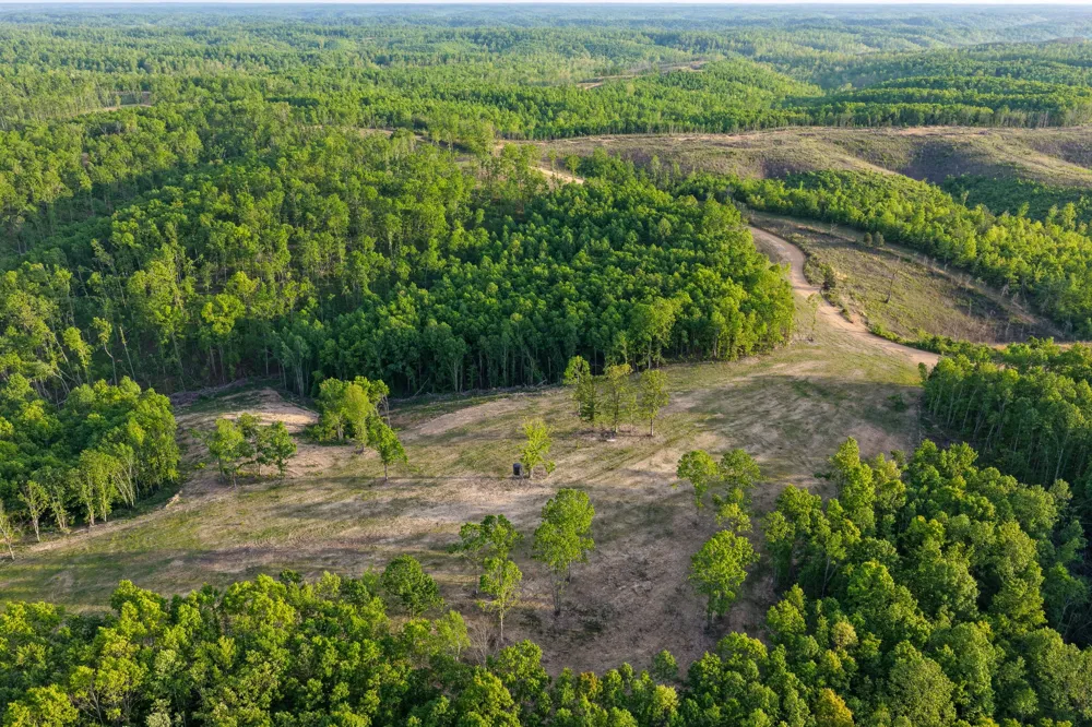 0 Firetower Rd Centerville, TN 37033