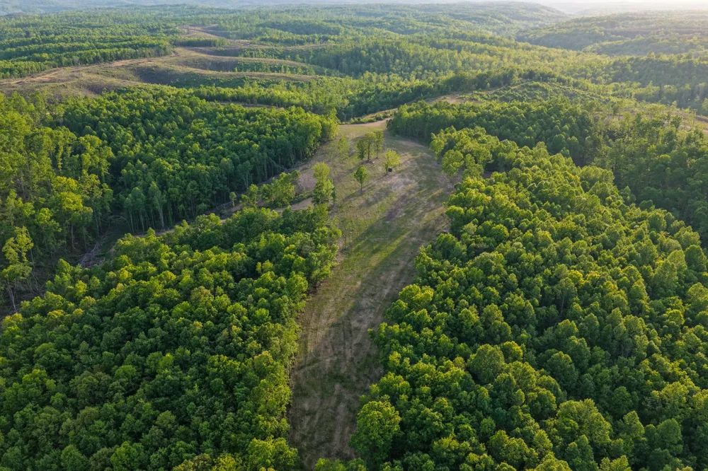 0 Firetower Rd Centerville, TN 37033