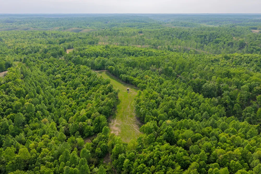 0 Firetower Rd Centerville, TN 37033