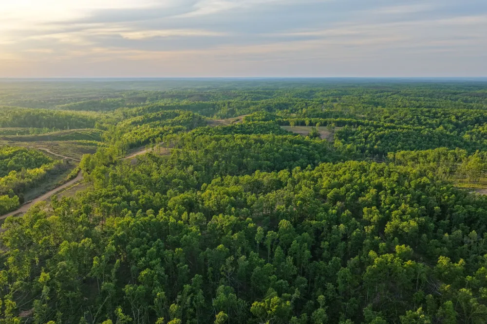 0 Firetower Rd Centerville, TN 37033