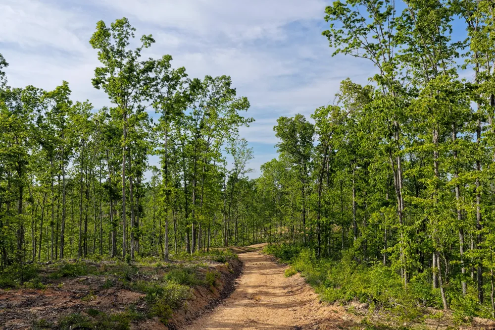 0 Firetower Rd Centerville, TN 37033