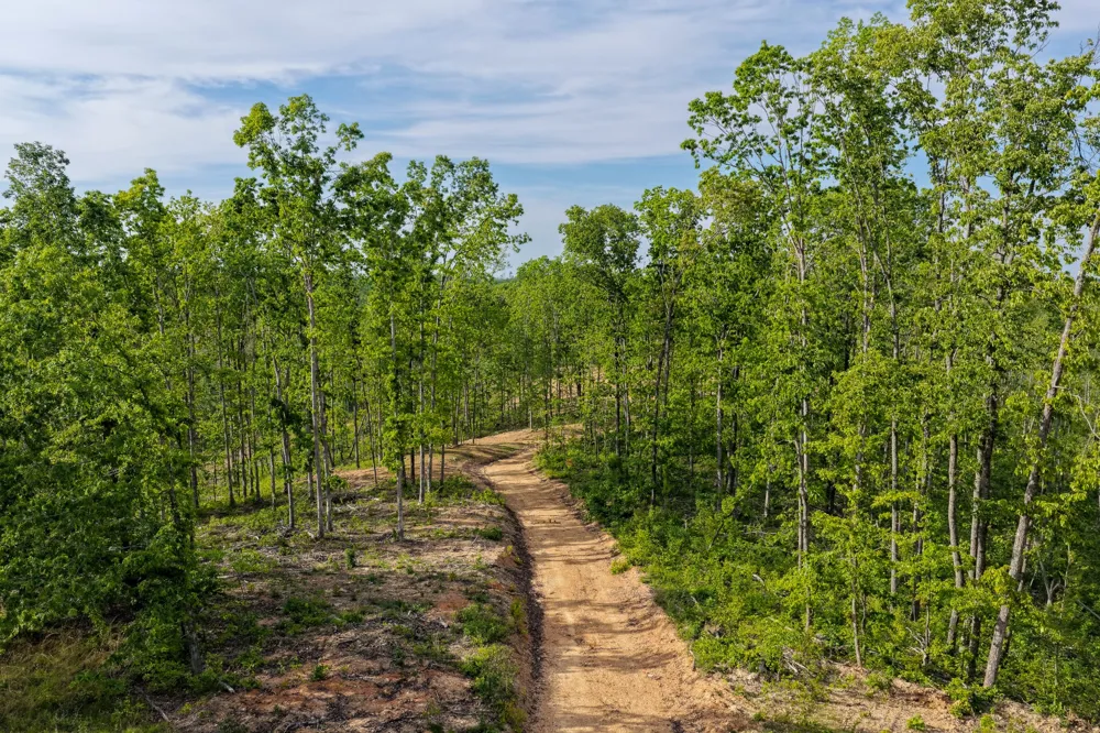 0 Firetower Rd Centerville, TN 37033