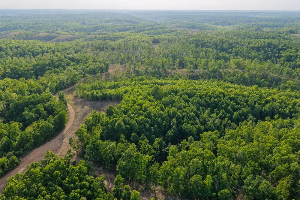 0 Firetower Rd Centerville, TN 37033