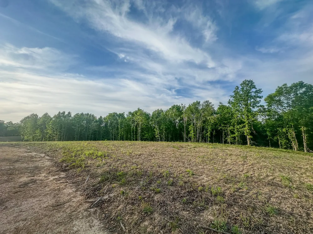 0 Firetower Rd Centerville, TN 37033