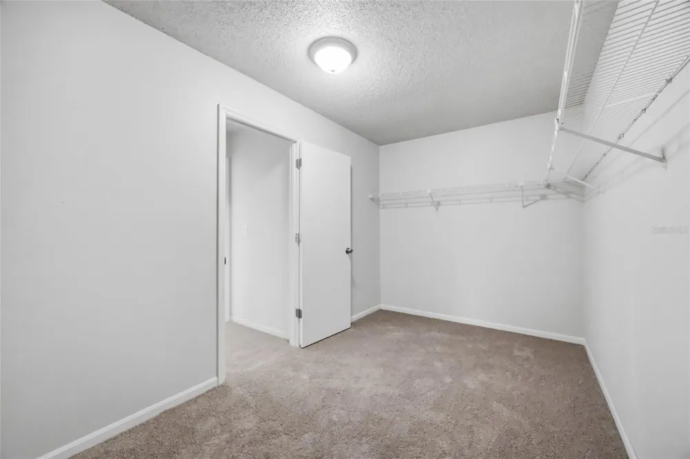 1441 MONTE LAKE DRIVE Valrico, FL 33596
