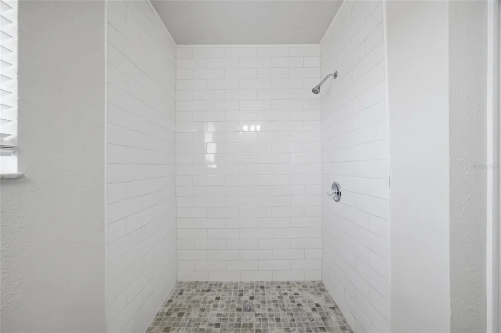 1441 MONTE LAKE DRIVE Valrico, FL 33596