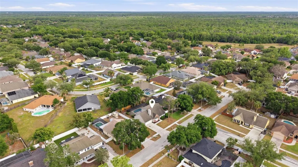 1441 MONTE LAKE DRIVE Valrico, FL 33596